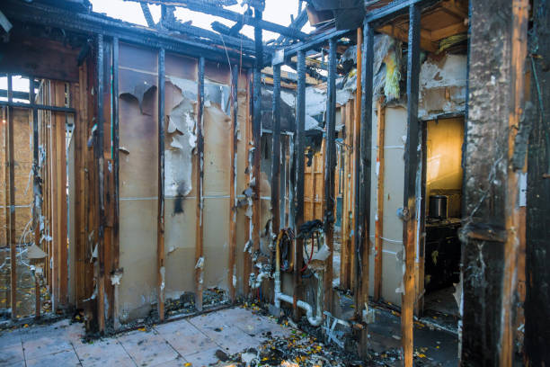 Professional Fire Damage Removal technician working in Buckingham, PA
